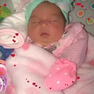 Meet your Posher, Familia